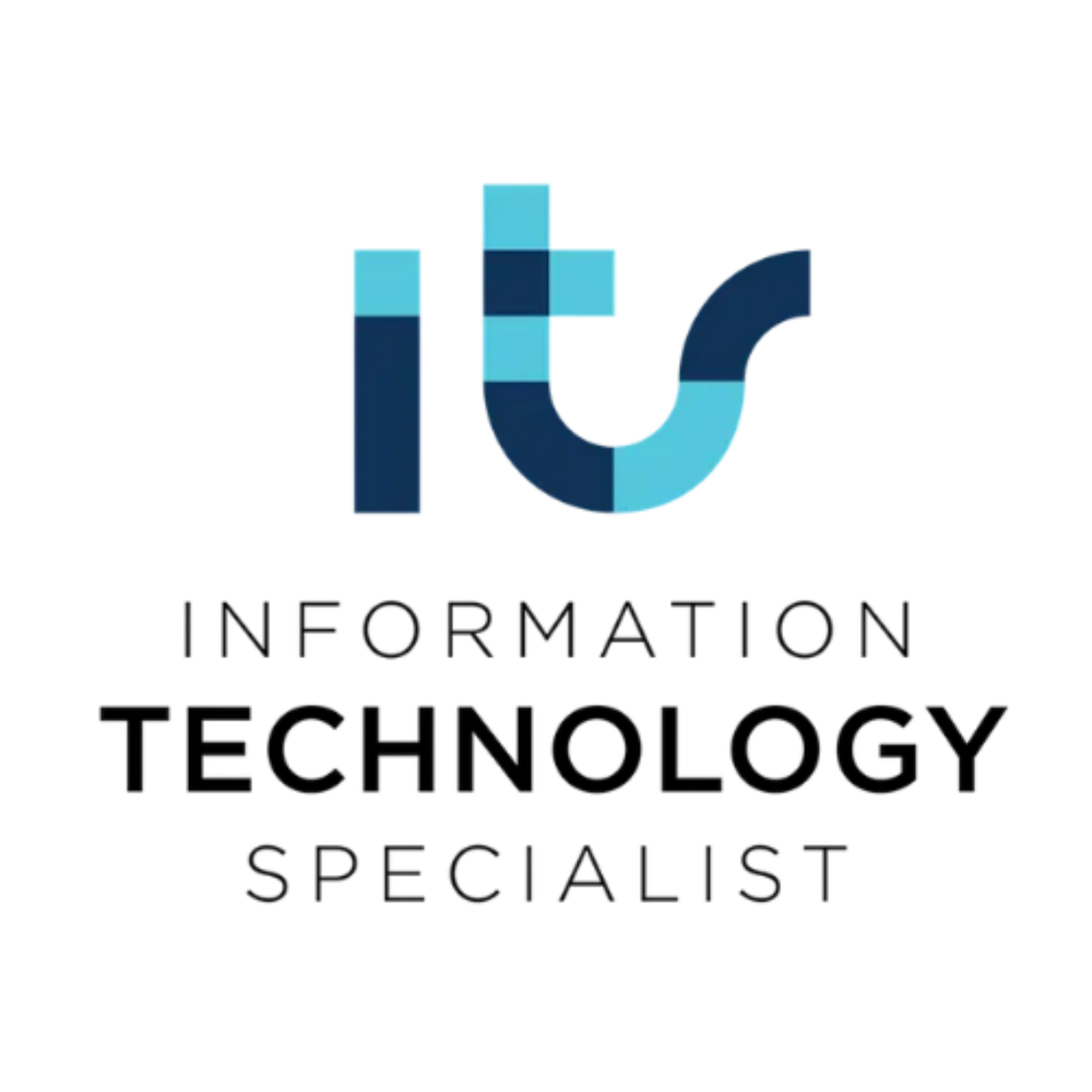 Information Technology Specialist Logo